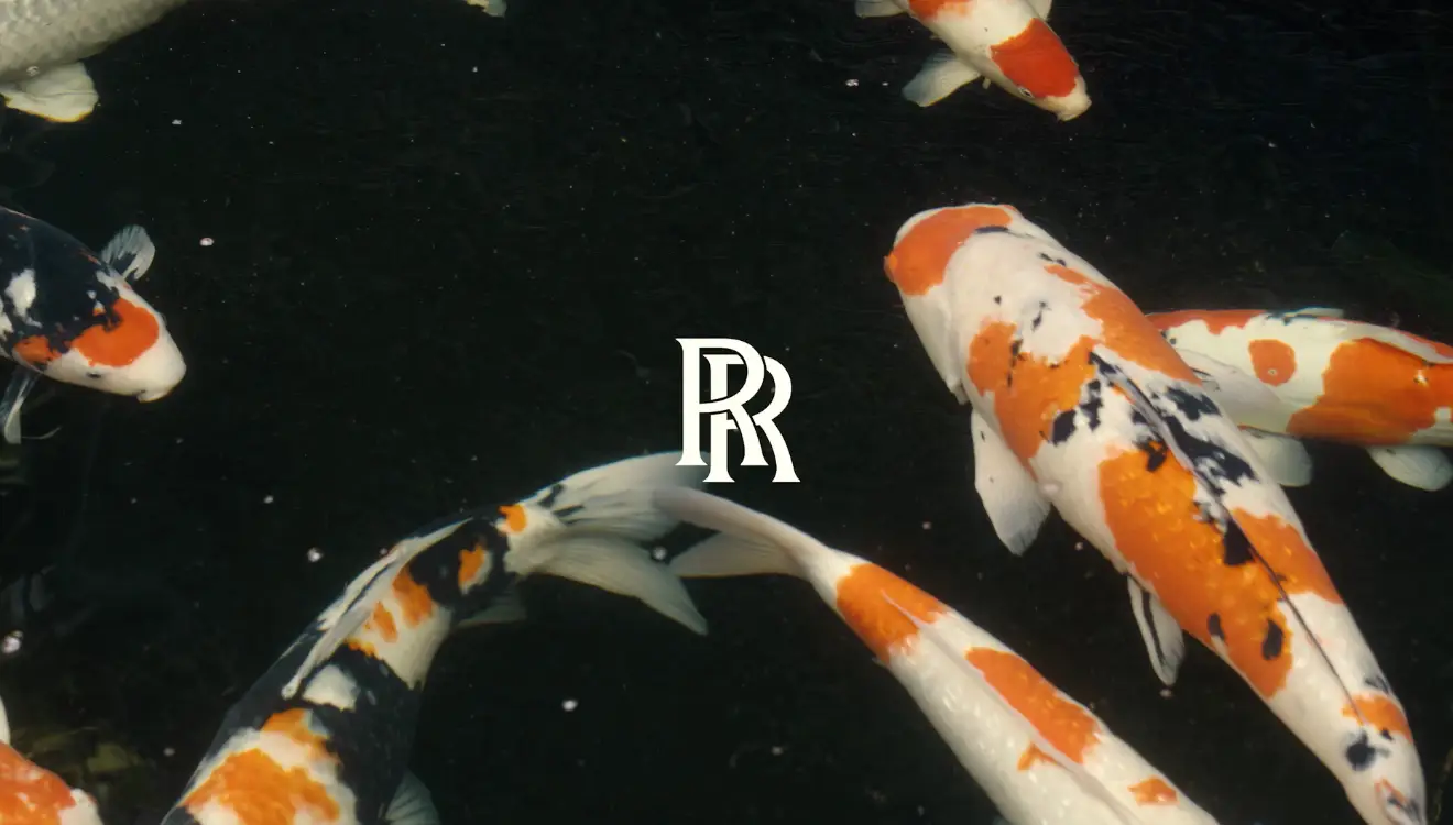 RR