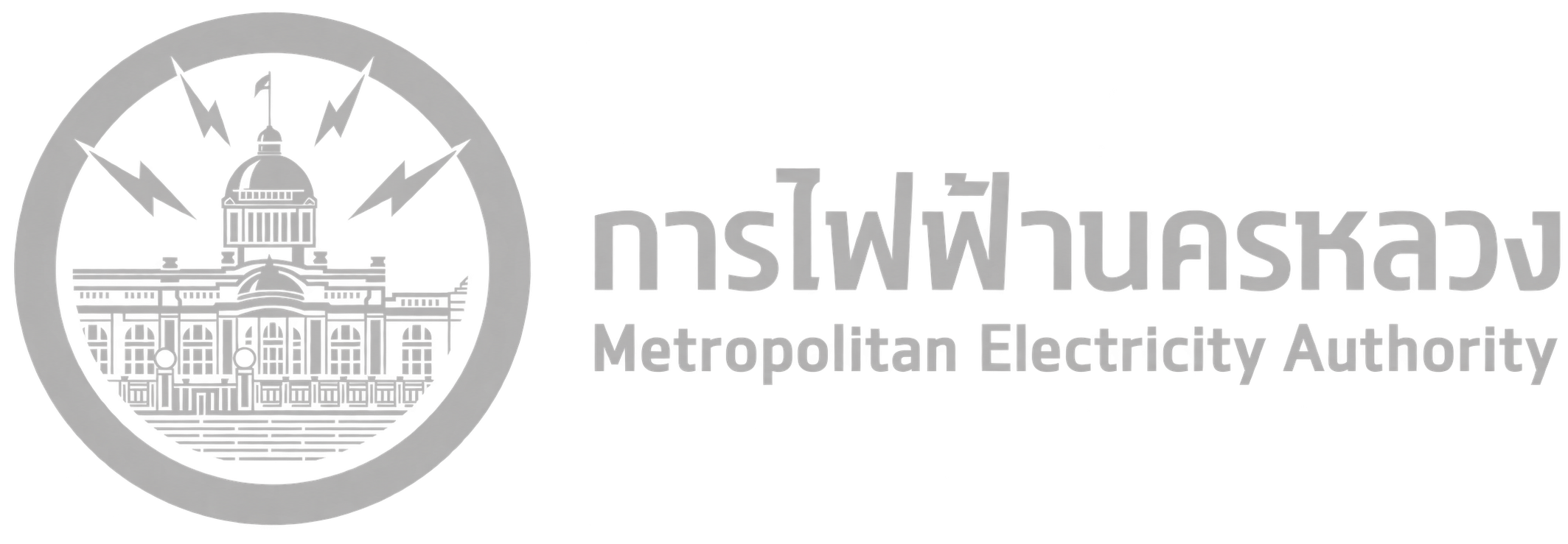 Metropolitan Electricity Authority